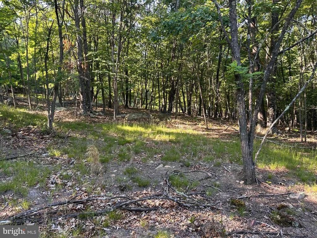 2.73 Acres of Land for Sale in Berkeley Springs, West Virginia - Berkeley Springs, West Virginia, 25411