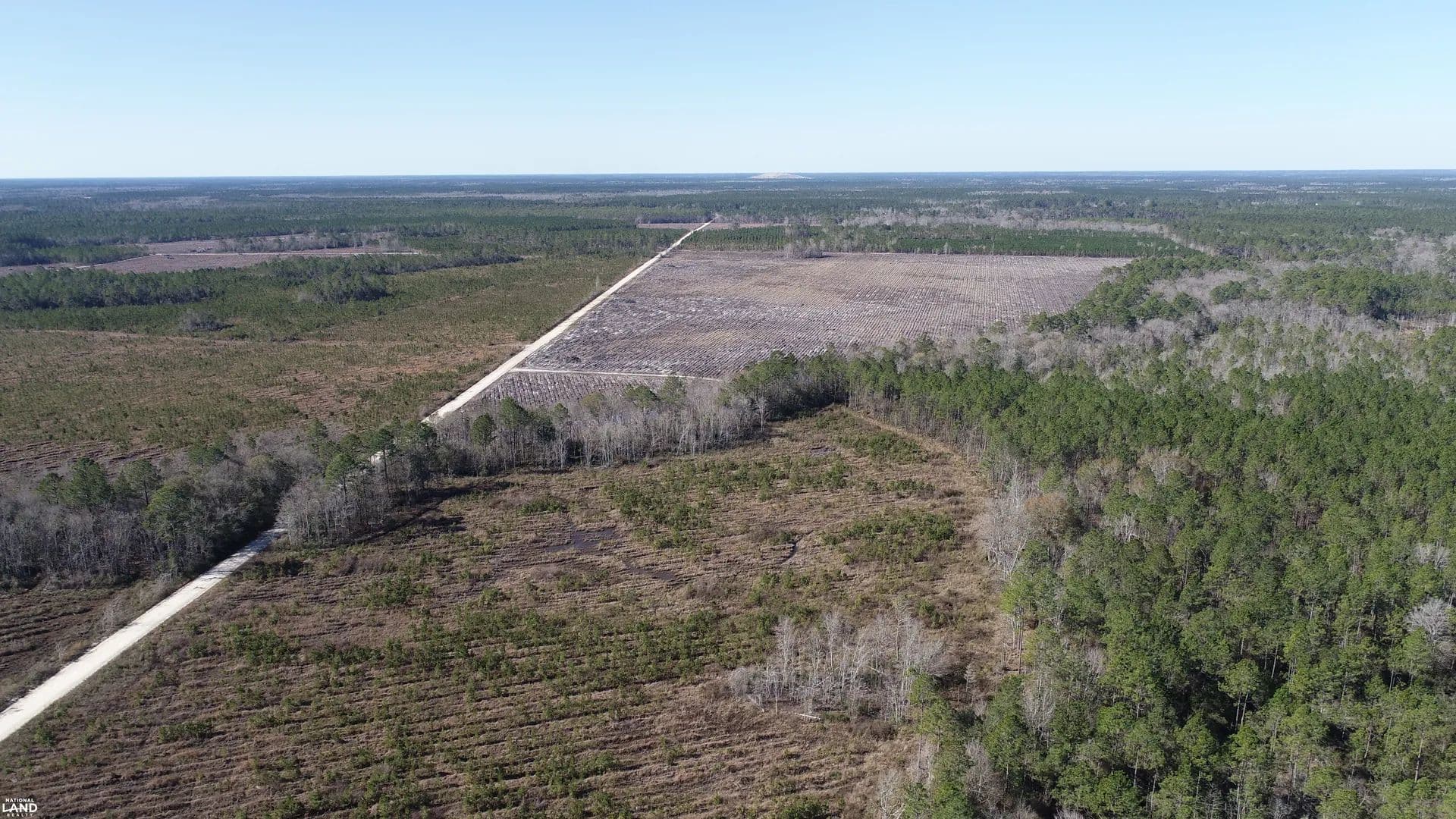 Tyler North Tract - Jesup, Georgia, 31546