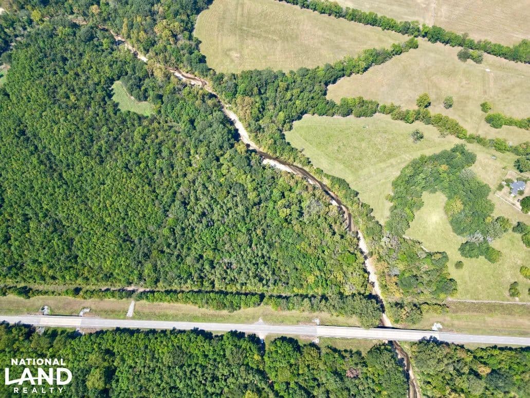 Cedar Creek Highway 21 Tract - Pine Apple, Alabama, 36768