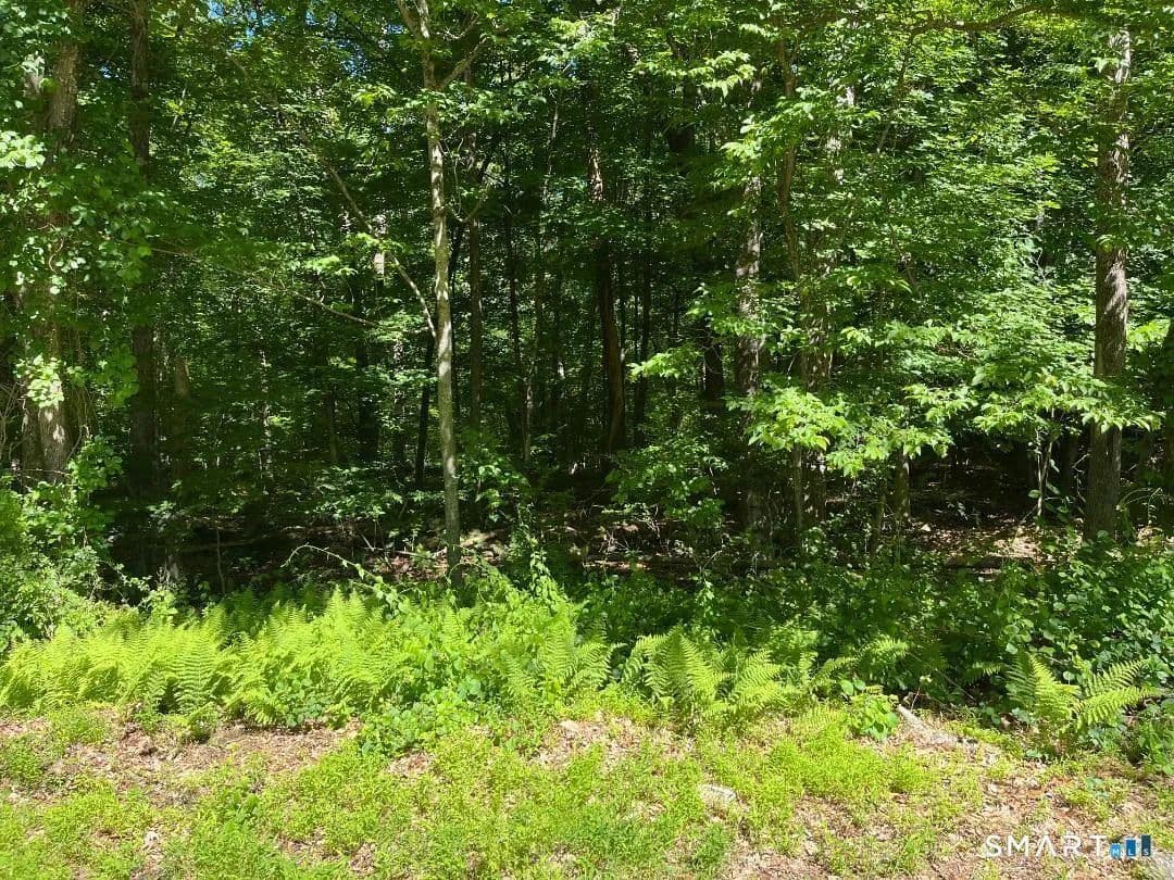 Property from Middle Turnpike #LOT 24 - KW - Mansfield, Connecticut, 6250
