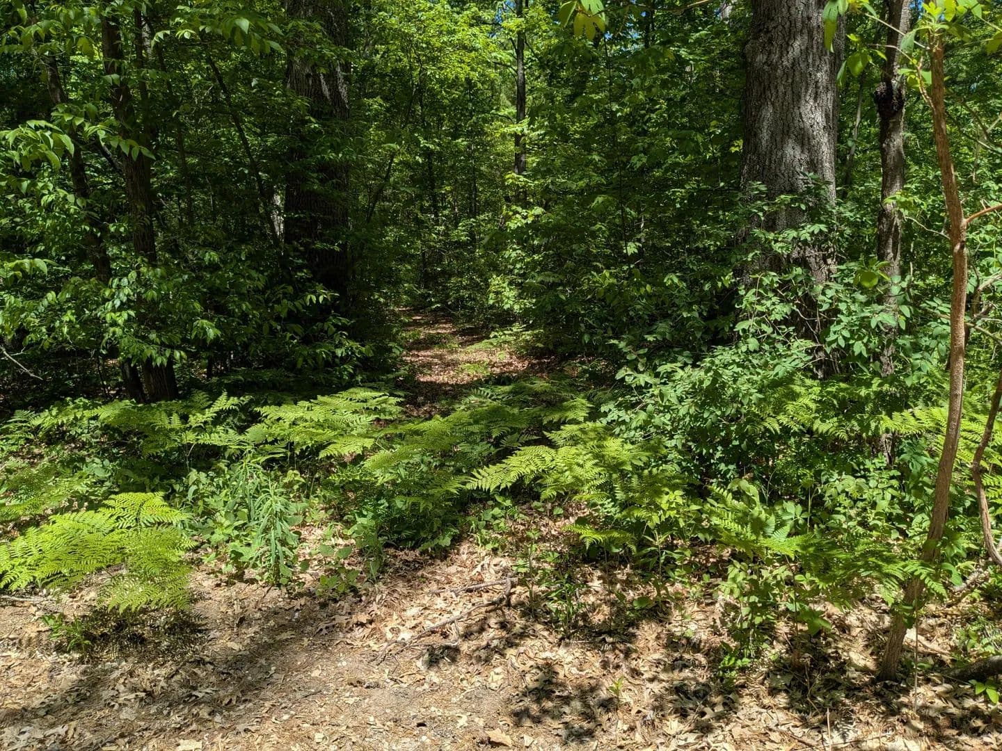 0.75 Acres of Land for Sale in Wellston, Michigan - Wellston, Michigan, 49689