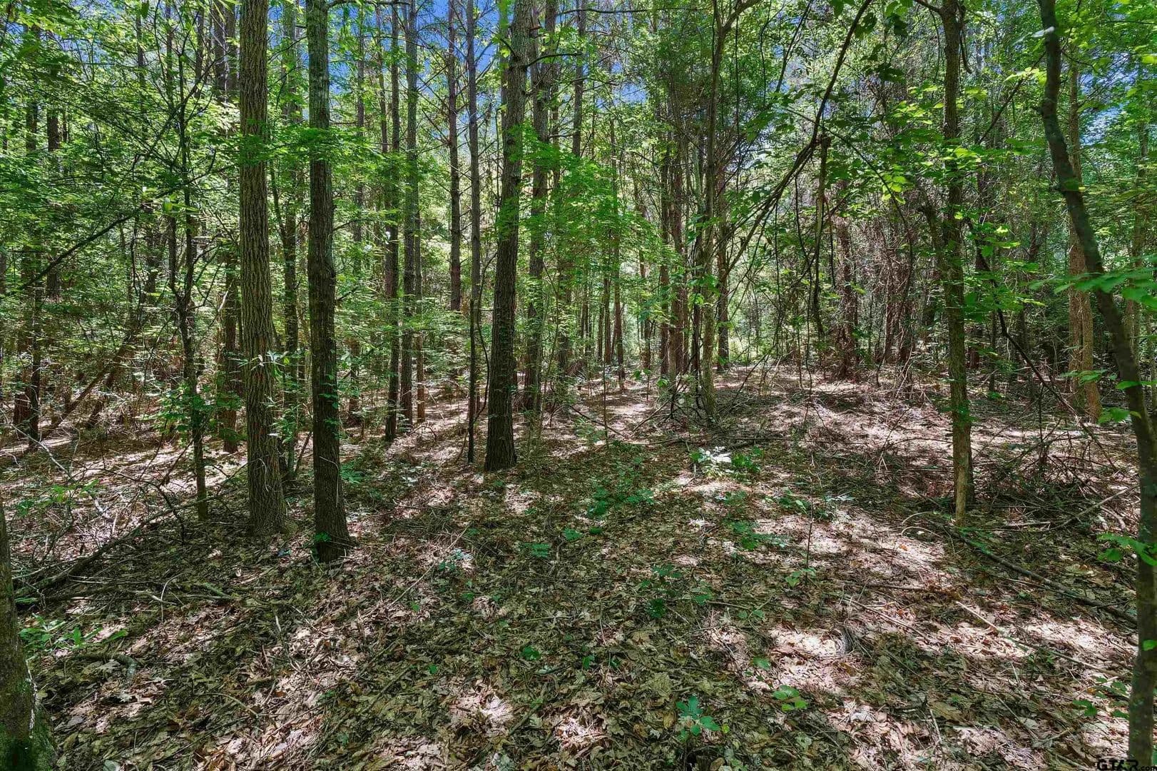2 Acres of Land for Sale in DeBerry, Texas - DeBerry, Texas, 75639