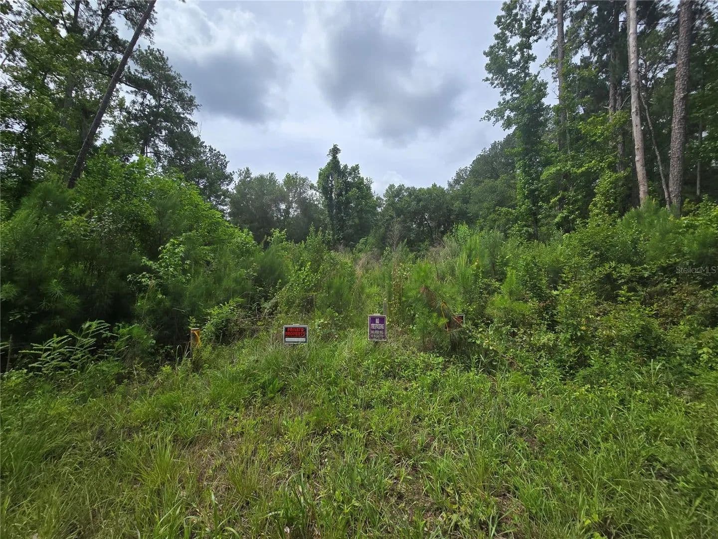 Property from 316 SEQUOIA DRIVE - KW - Ocklawaha, Florida, 32179