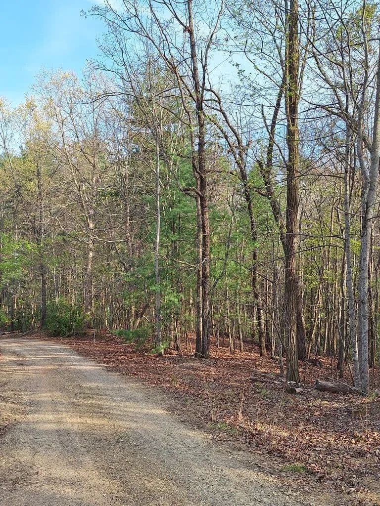 Lots & Land-Other in Morganton - Morganton, Georgia, 30560