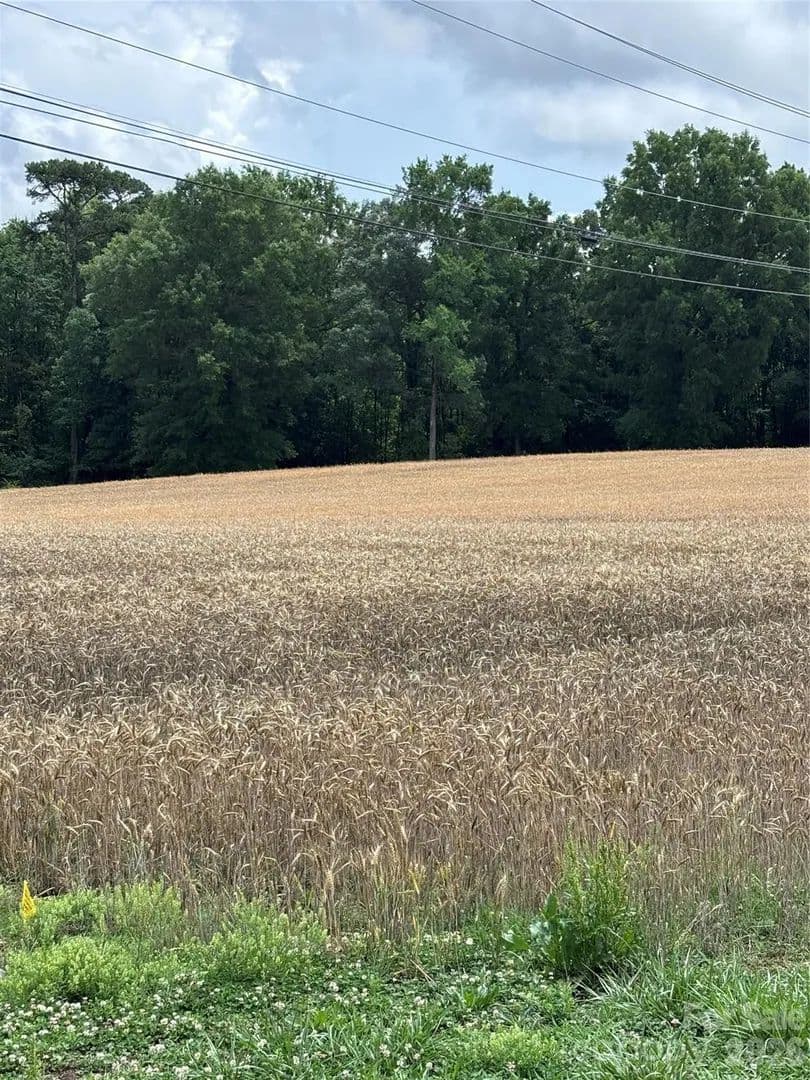 Property from 0 Olive Branch Road - KW - Wingate, North Carolina, 28174