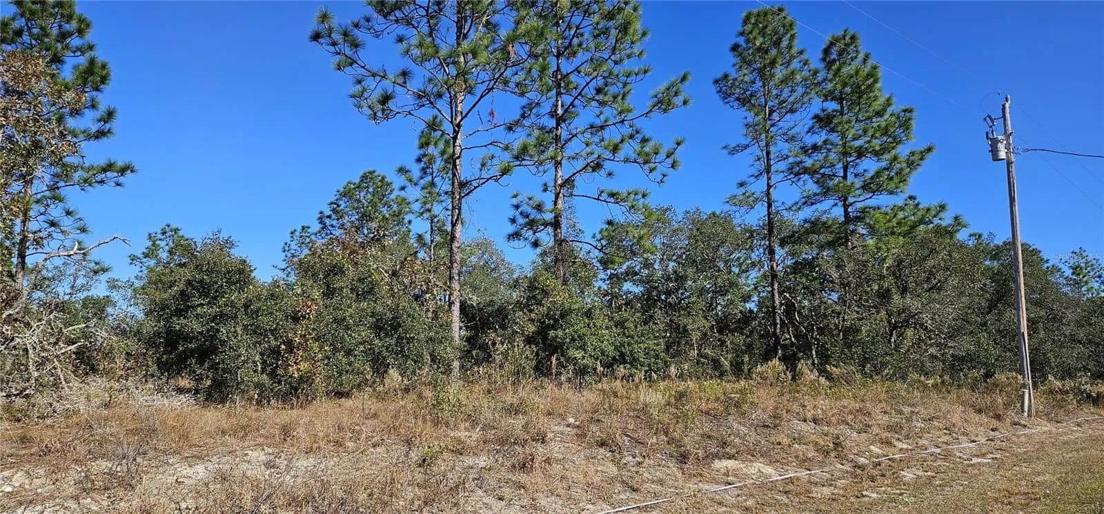 Lots & Land-Other in DUNNELLON - Dunnellon, Florida, 34431
