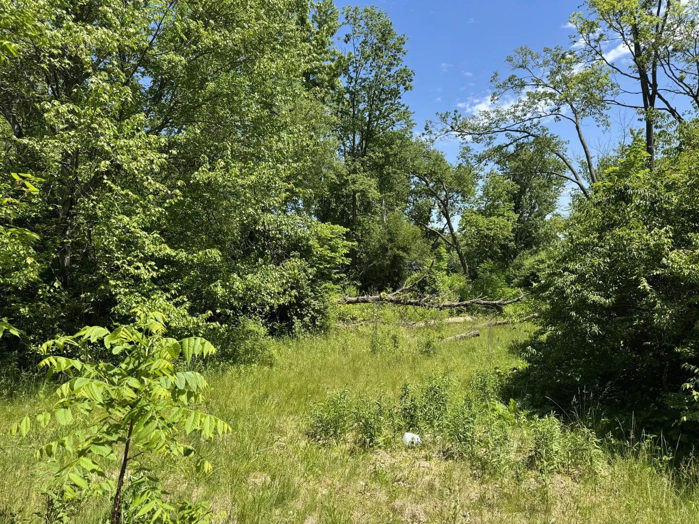 Property from 11679 N IL ROUTE 2 - KW - Rockford, Illinois, 61102