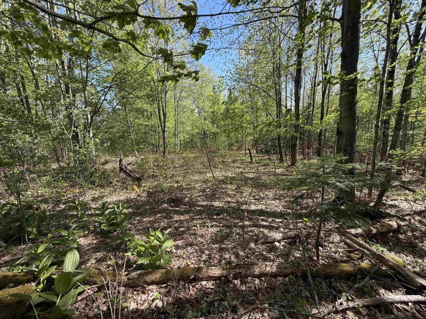 Lots & Land-Other in Coventry - Coventry, Vermont, 5825