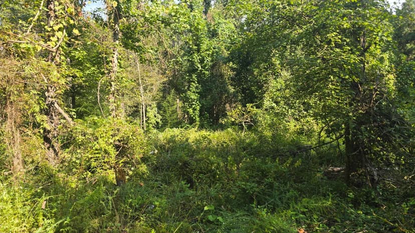 Welcome to the Knoxville, MS 116