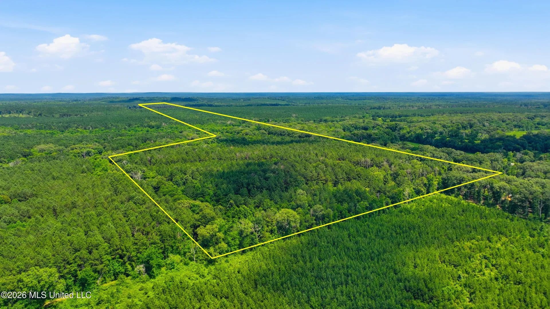 Property from Blackwell Drive - KW - Forest, Mississippi, 39074