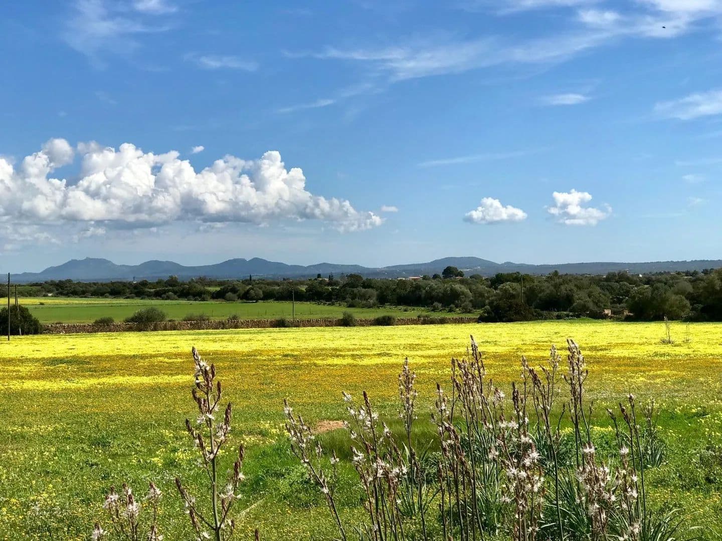 Land for Sale in Palma de Mallorca, 412 - land for sale