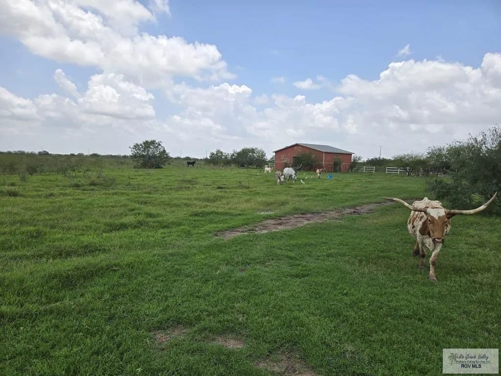 Property from 000 W FM 675 - KW - San Benito, Texas, 78586