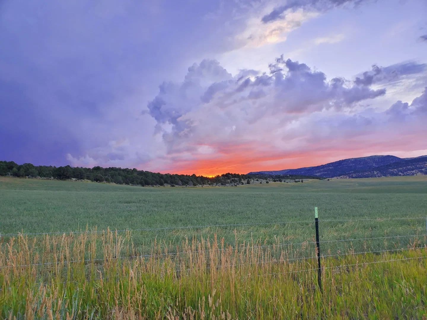 Strawberry Hunting and Ag Ranch - Meeker, Colorado, 81641