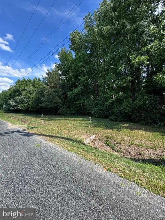 16.13 Acres of Land for Sale in VIENNA, MD - Vienna, Maryland, 21869