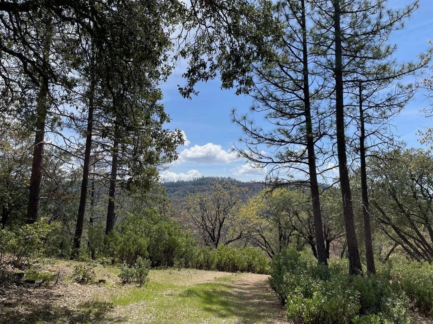 Lots & Land-Other in Sheep Ranch - Sheep Ranch, California, 95246