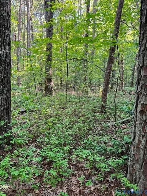 Property from 16117 W Patrick Henry Road - KW - Montpelier, Virginia, 23192