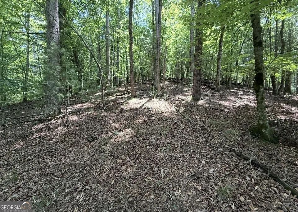 1.03 Acres of Land for Sale in Ellijay, Georgia - Ellijay, Georgia, 30540
