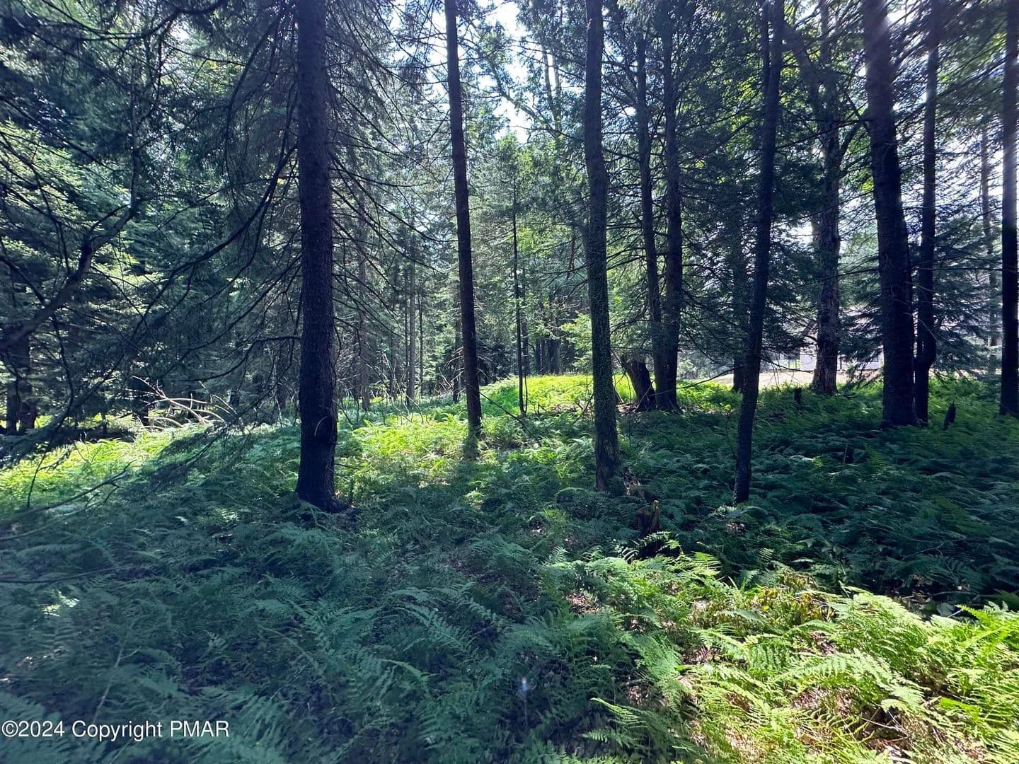 Property from 1127 Sawmill Rd 1127 Road - KW - Pocono Lake, Pennsylvania, 18347
