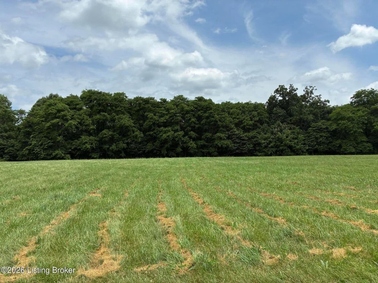 3.12 Acres of Land for Sale in Bedford, Kentucky - Bedford, Kentucky, 40006