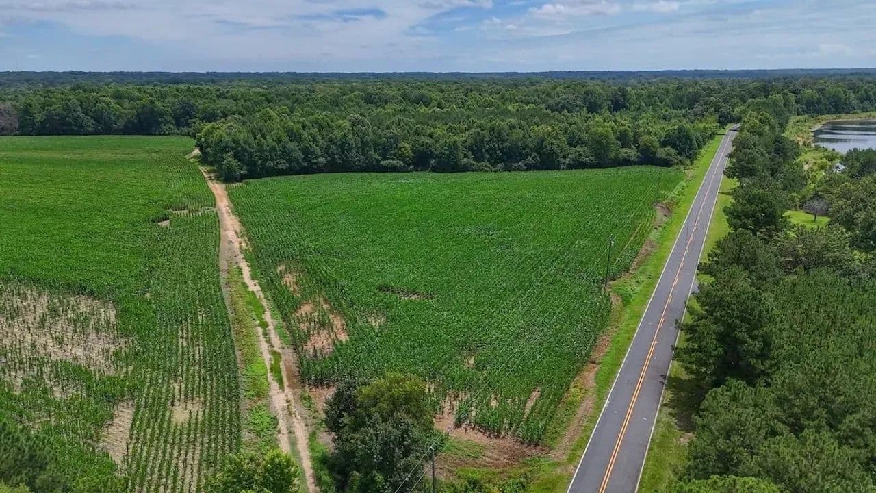 15 acres of Multi Purpose Land for Sale Harnett County, NC! - Erwin, North Carolina, 28339