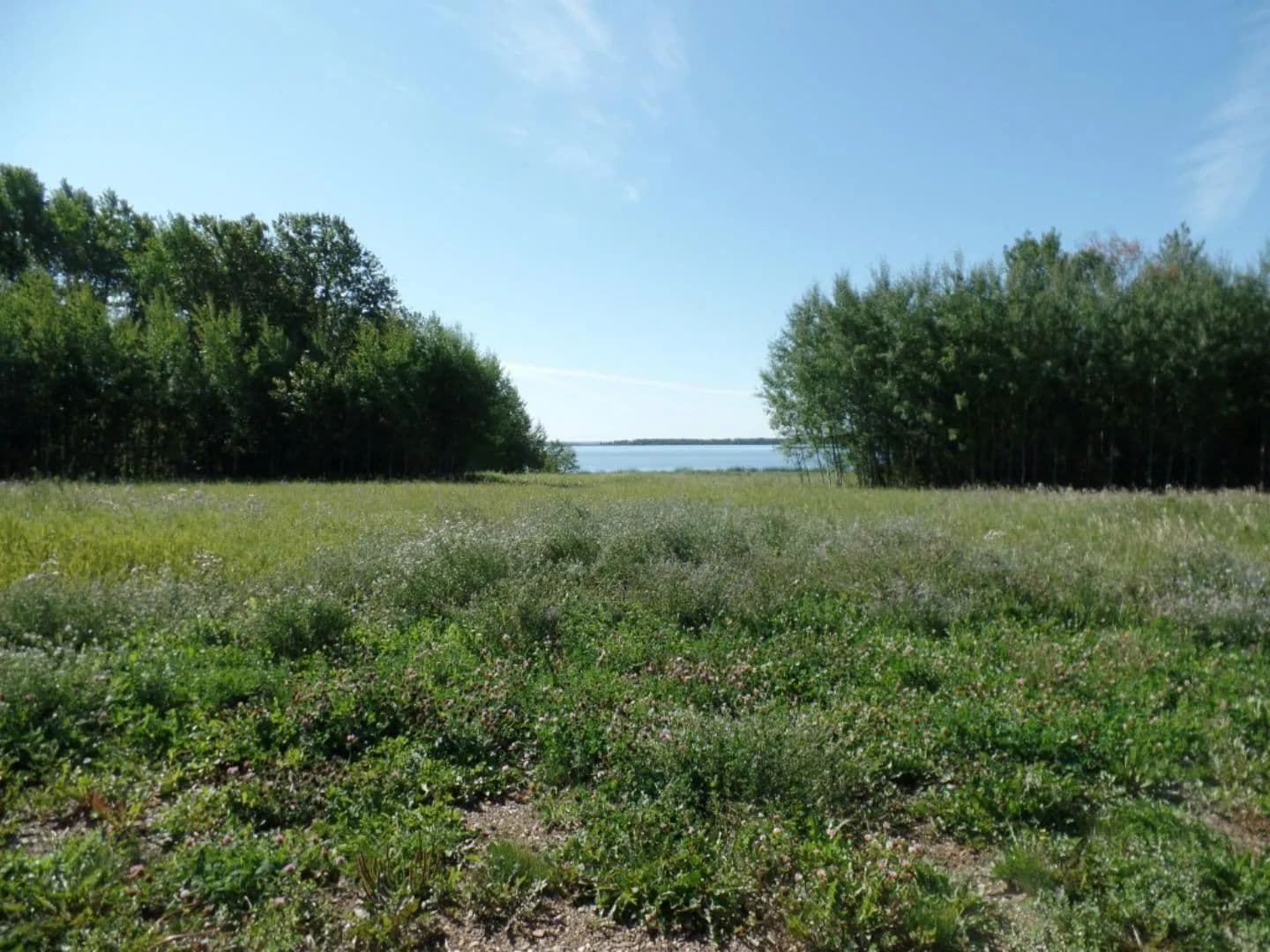 Property from 4 Islandview Road - KW - Canada