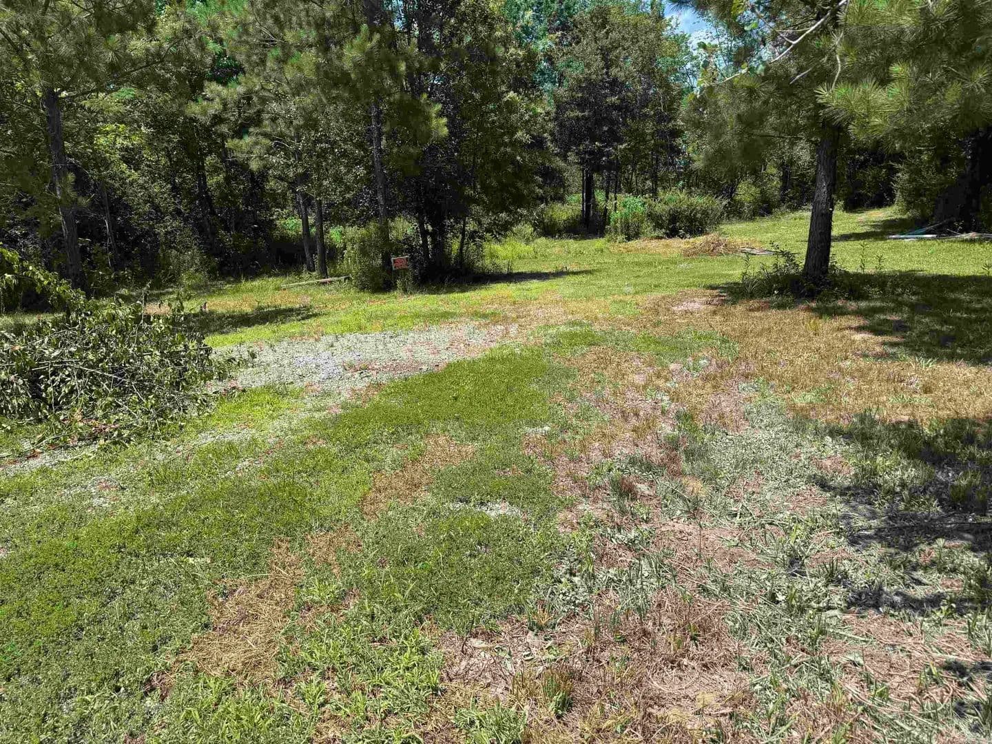 Land for Sale in Hot Springs, Arkansas - Hot Springs, Arkansas, 71913