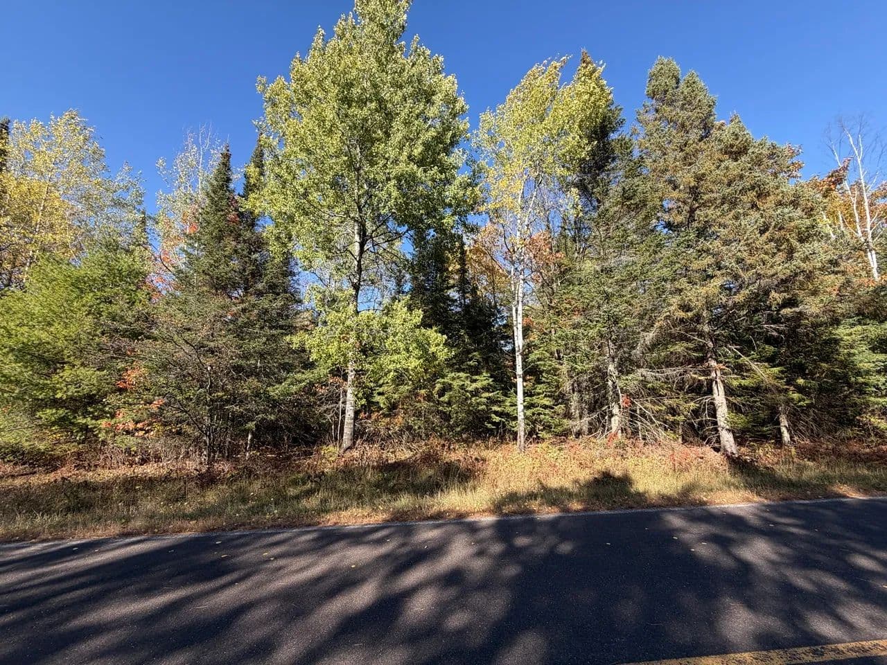 Vacant Land in Mercer - land for sale