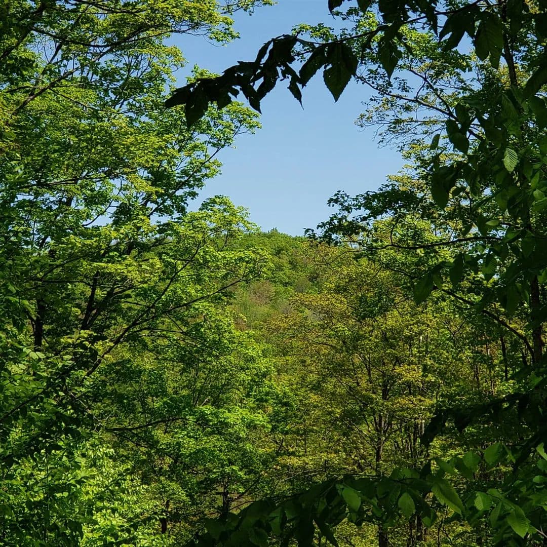 Property from 00 Beaver Meadow Road - KW - Roxbury, Vermont, 5669
