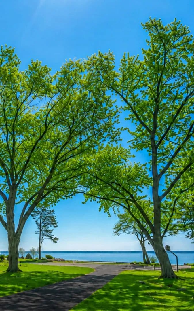 1.28 Acres of Land for Sale in Fox Point, Wisconsin - Fox Point, Wisconsin, 53217