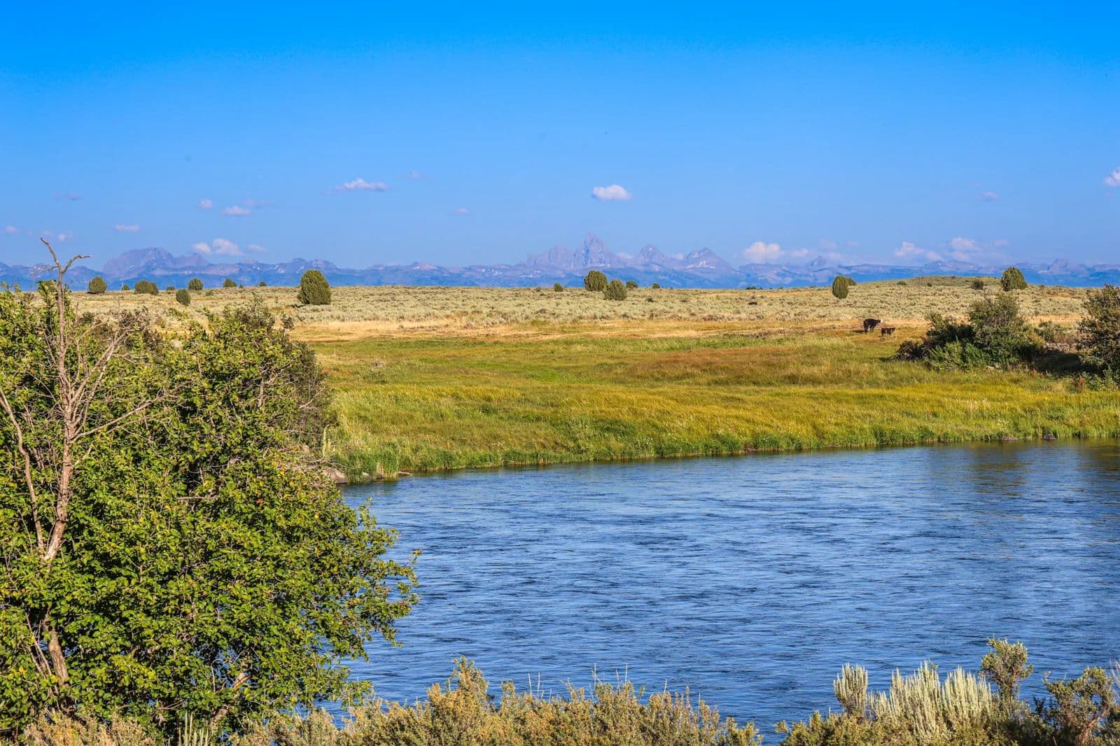 River Pointe Ranch on the Henry's Fork - land for sale