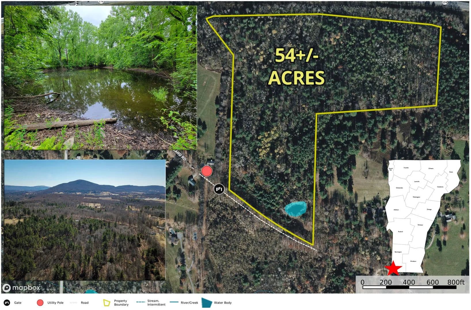 399 Bard Rd - Bennington - land for sale