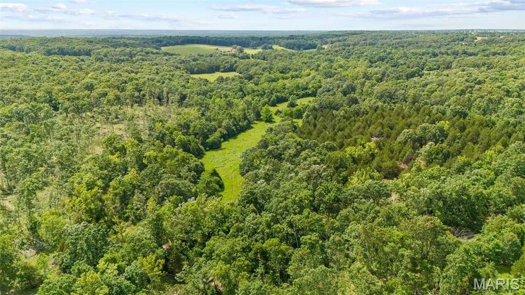42.85 Acres of Land for Sale in Barnette, MO - Missouri, 65011
