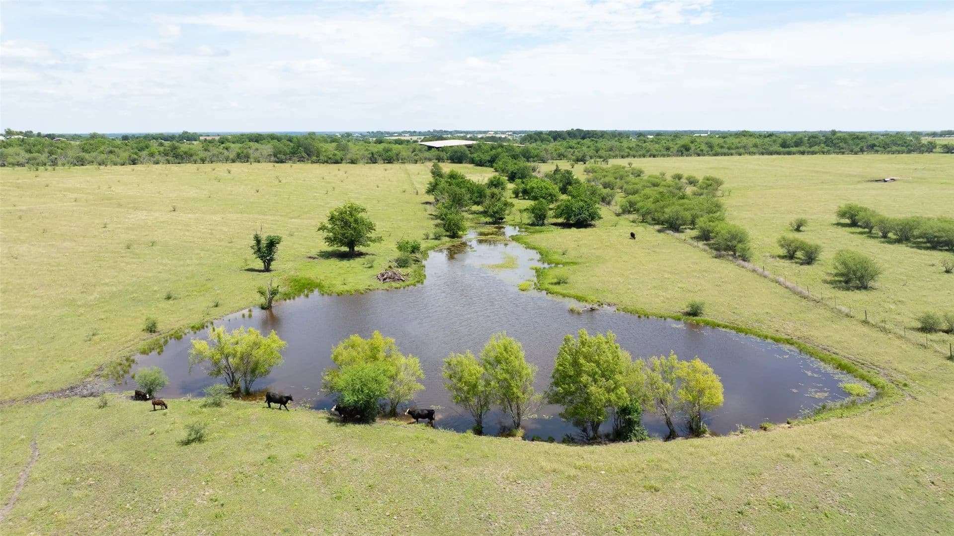 67.39 Acres of Land for Sale in Chappell Hill, Texas - Chappell Hill, Texas, 77426