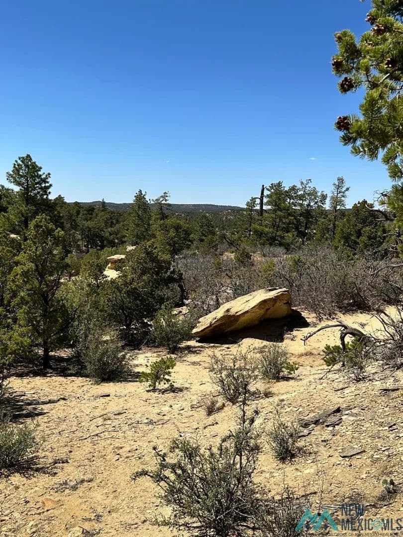 Property from XX Ranchero Road - KW - Datil, New Mexico, 87827