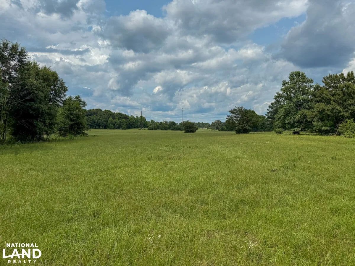 Valley Grande - County Road 269 (Seymore Rush Road) - Valley Grande, Alabama, 36703