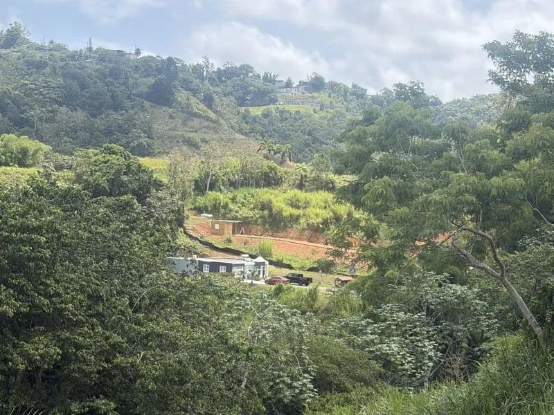 1145 Acres of Land for Sale in Barranquitas - land for sale