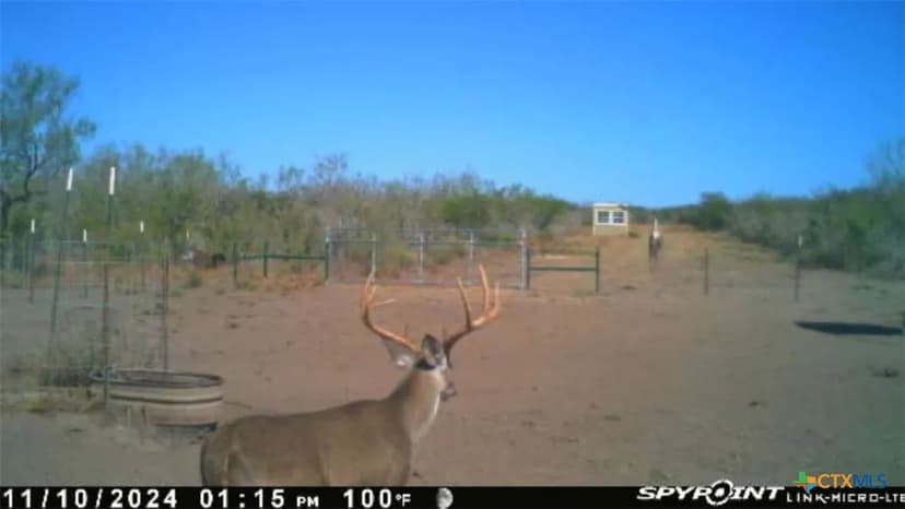 Property from 0 TR 123 TRIPLE T-BAR-L RCH - KW