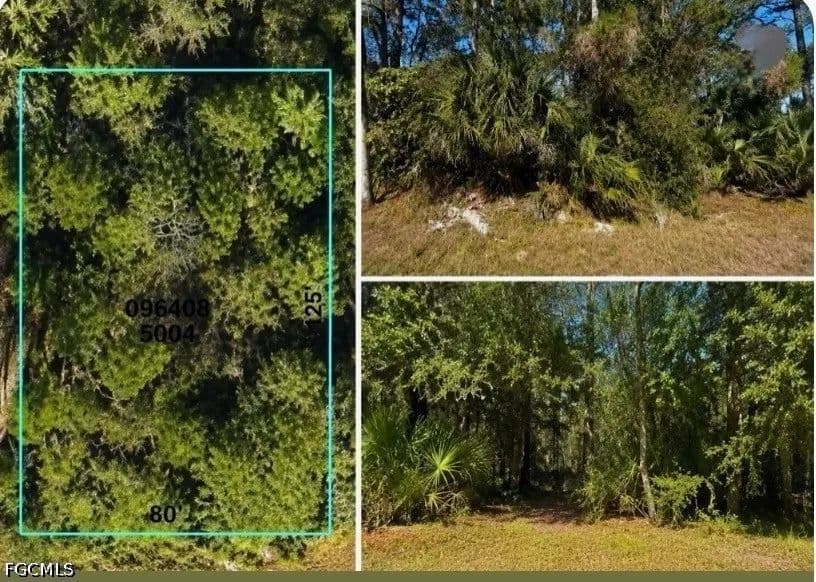 Property from Stockton Avenue - KW - North Port, Florida, 34286