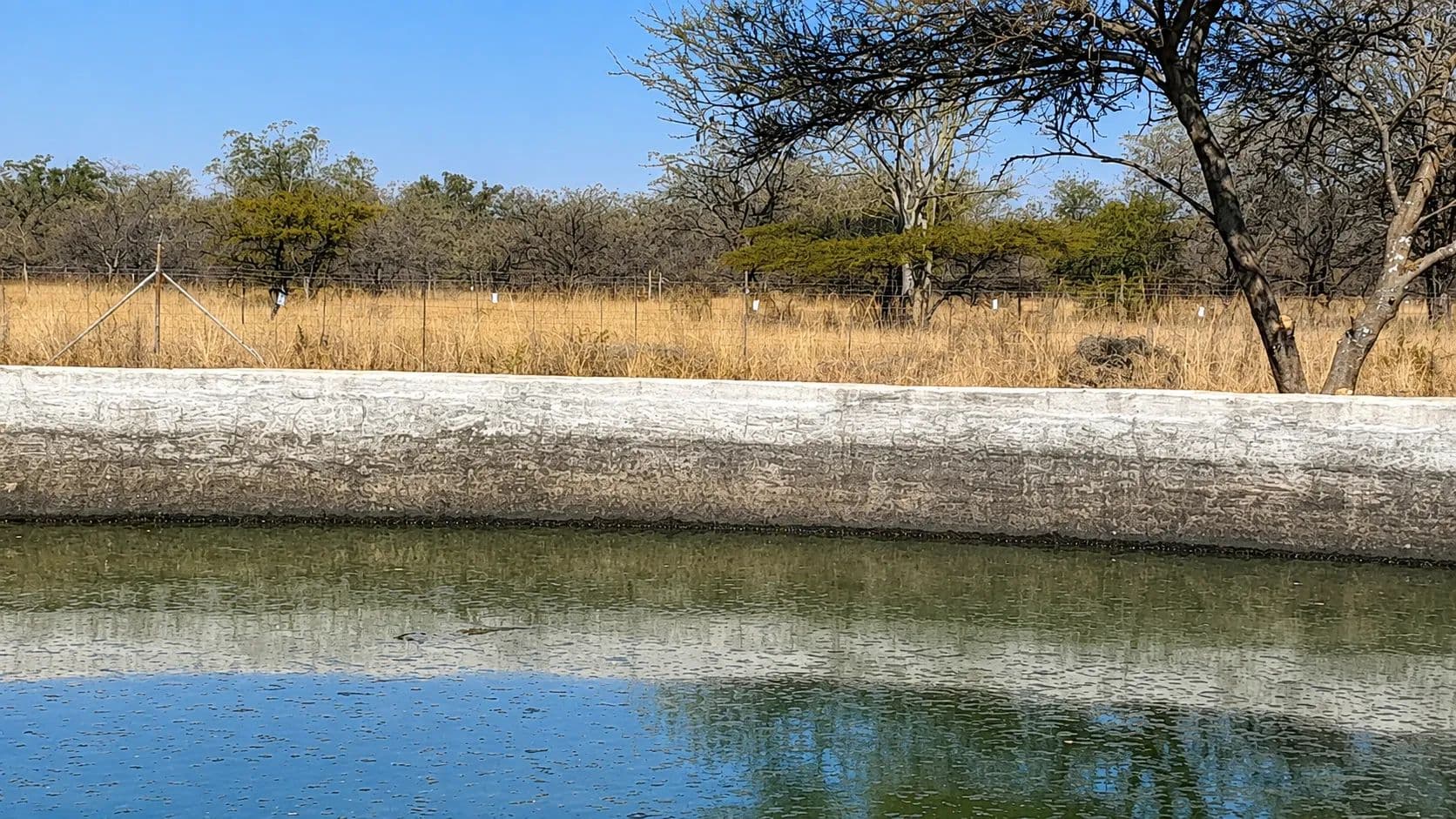 Land for Sale in Mookgopong, Limpopo - land for sale