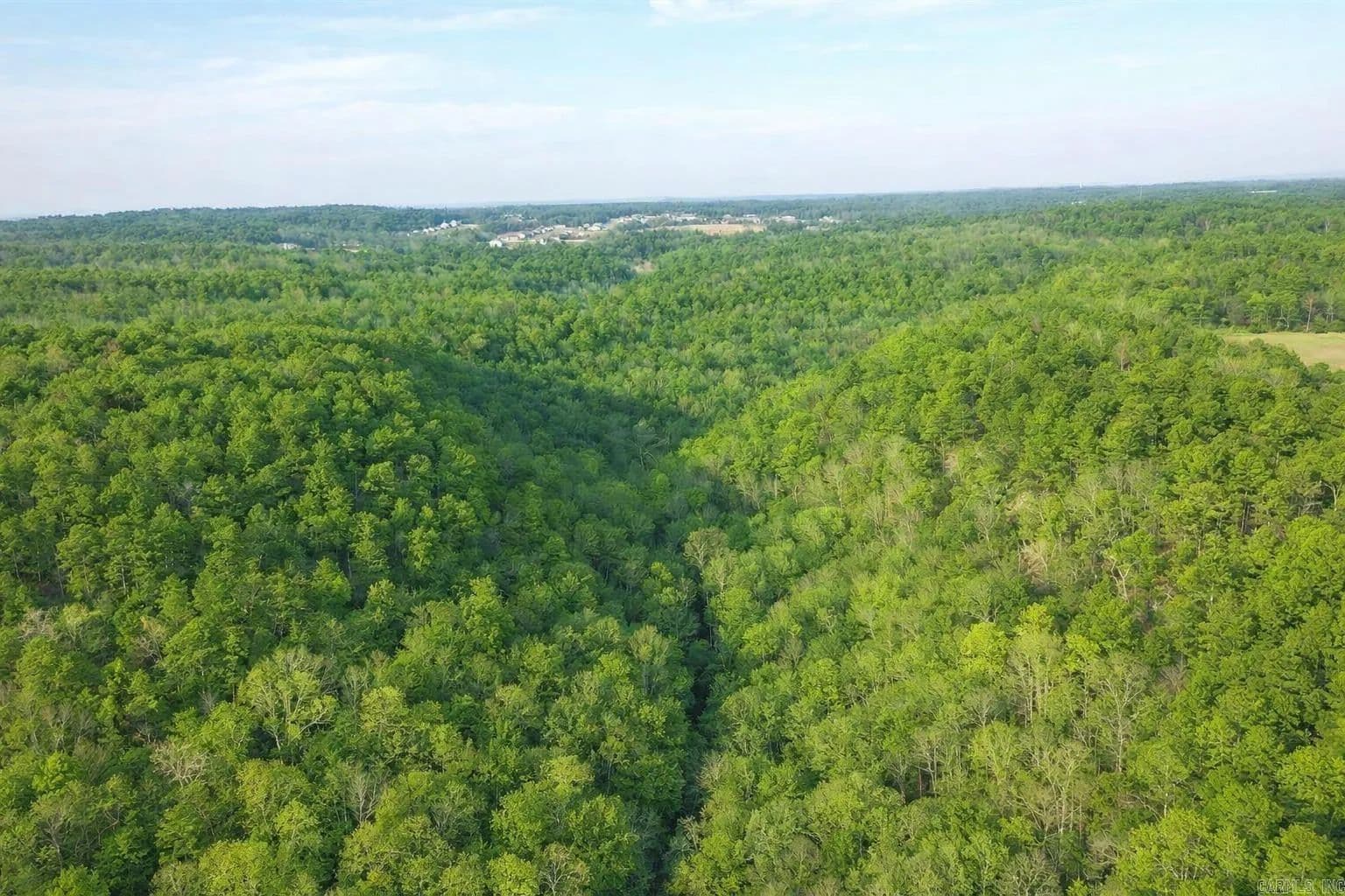 Property from 000 Pottsville Road - KW - Pottsville, Arkansas, 72858