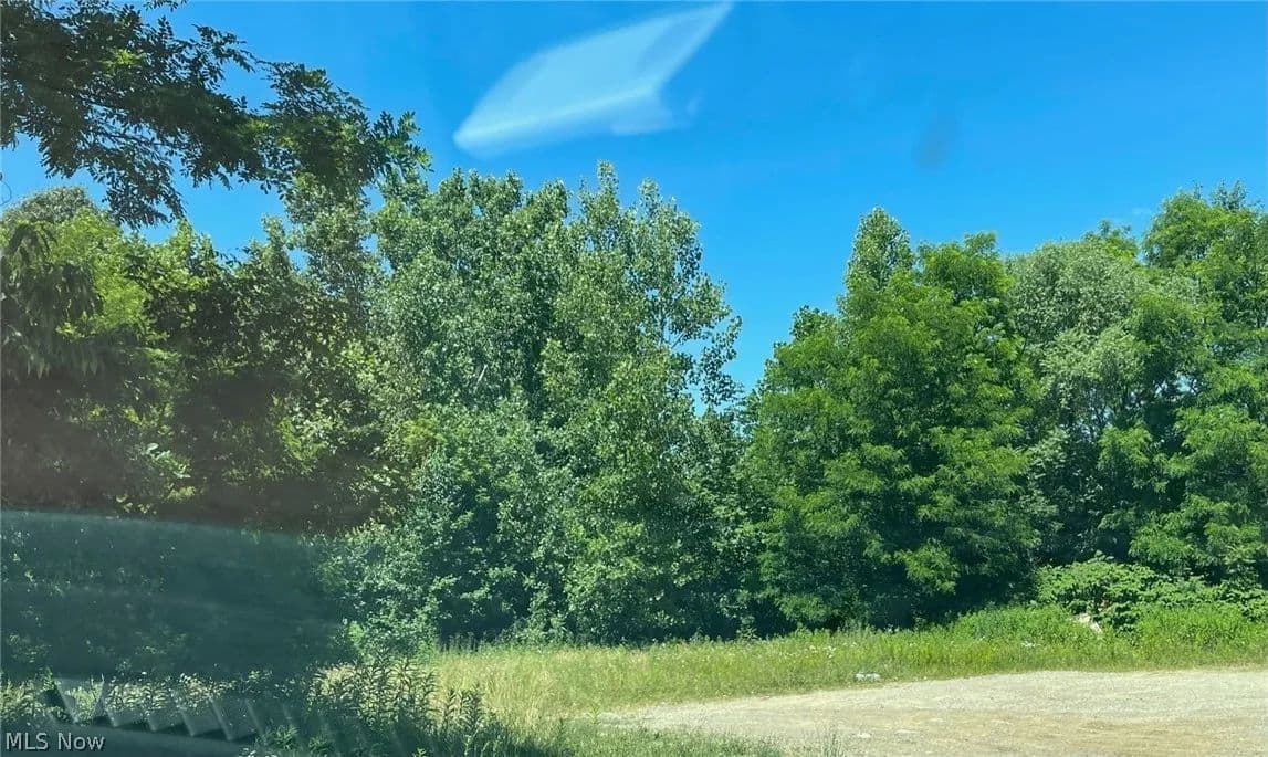 2.36 Acres of Land for Sale in Akron, Ohio - Akron, Ohio, 44310