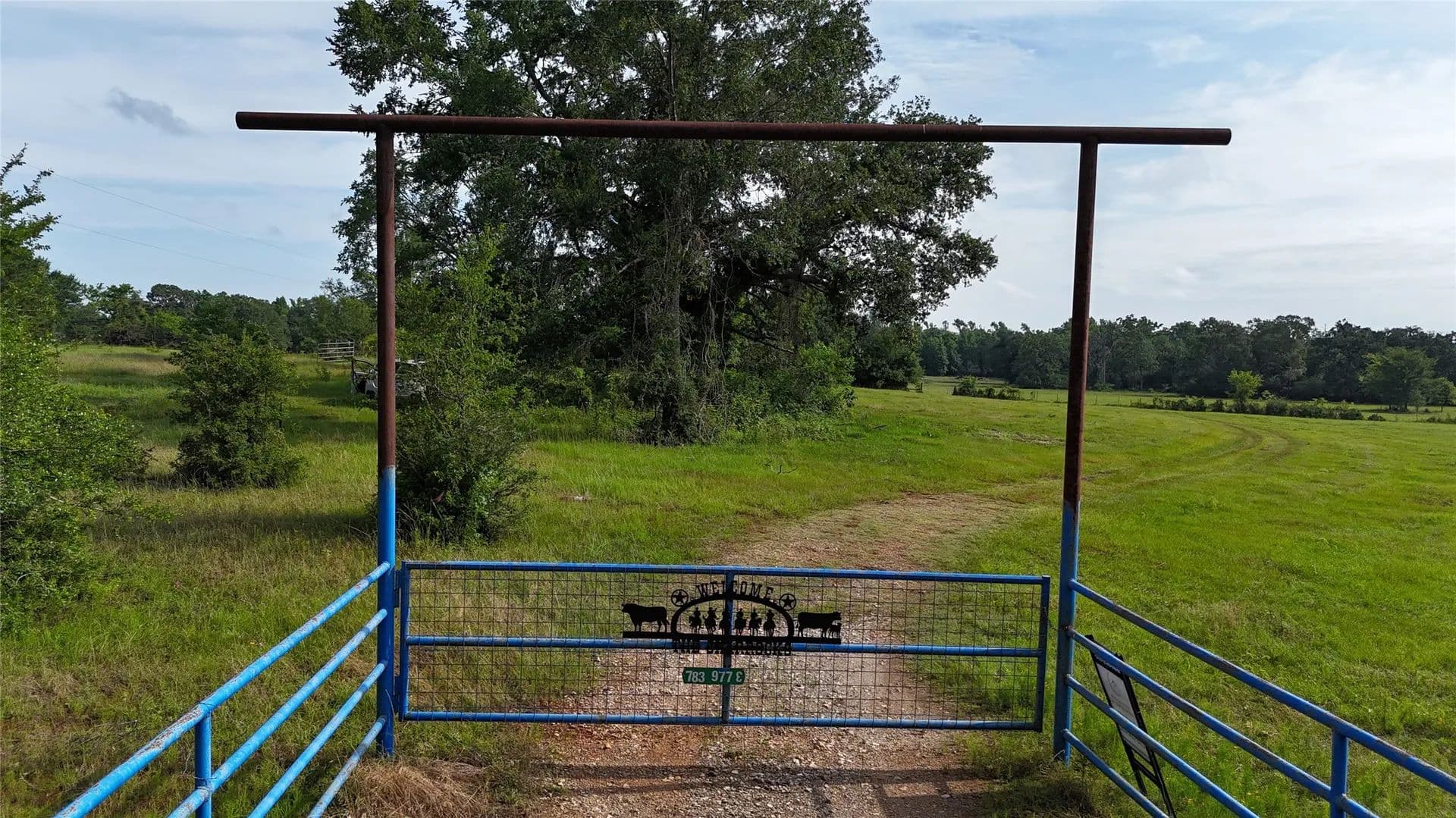 39.96 Acres of Land for Sale in Leona, Texas - Leona, Texas, 75850