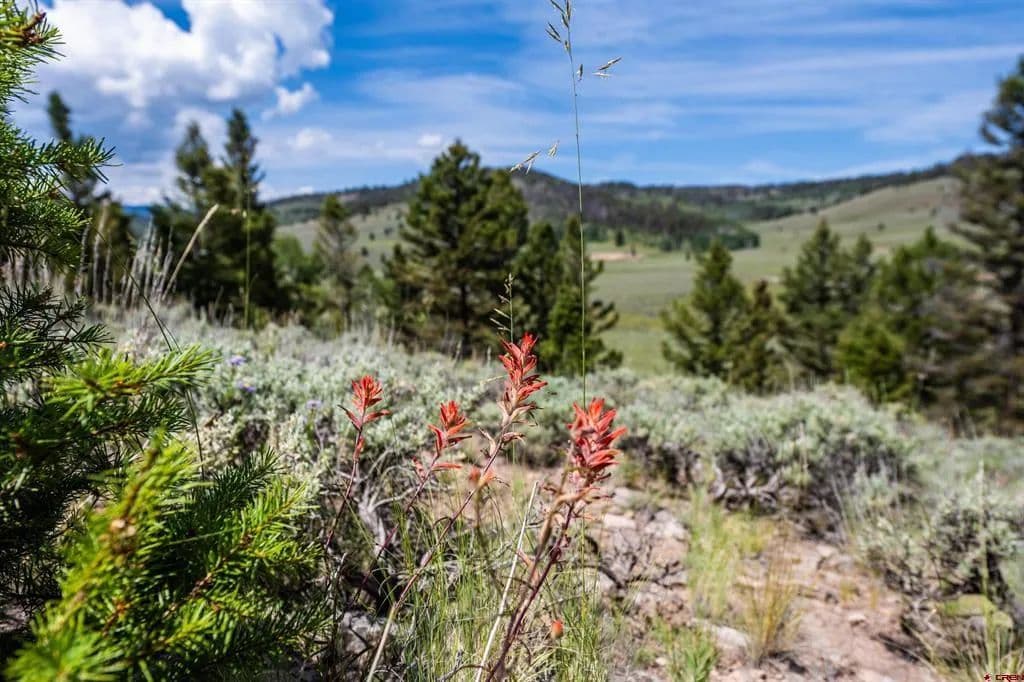 Property from 1021 Slumgullion Trail - KW - Powderhorn, Colorado, 81243