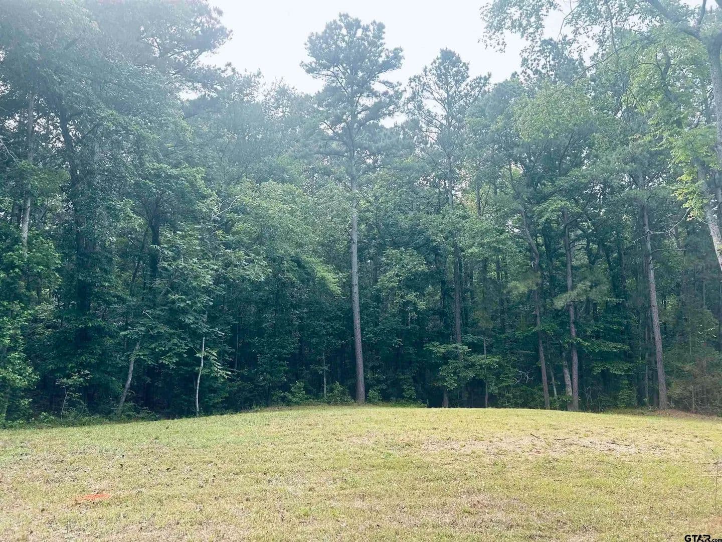 1.84 Acres of Land for Sale in Troup, Texas - Troup, Texas, 75789
