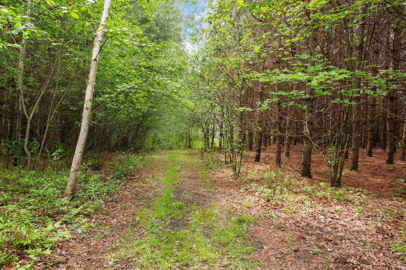 1.01 Acres of Land for Sale in Peshtigo, Wisconsin - Peshtigo, Wisconsin, 54157