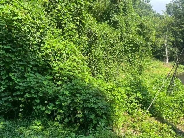 Land -Agricultural (Not Zoned) in Soddy Daisy - Soddy Daisy, Tennessee, 37379
