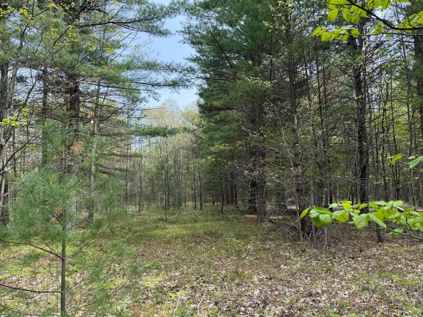 11.88 Acres of Land for Sale in Manistee, MI - Manistee, Michigan, 49660