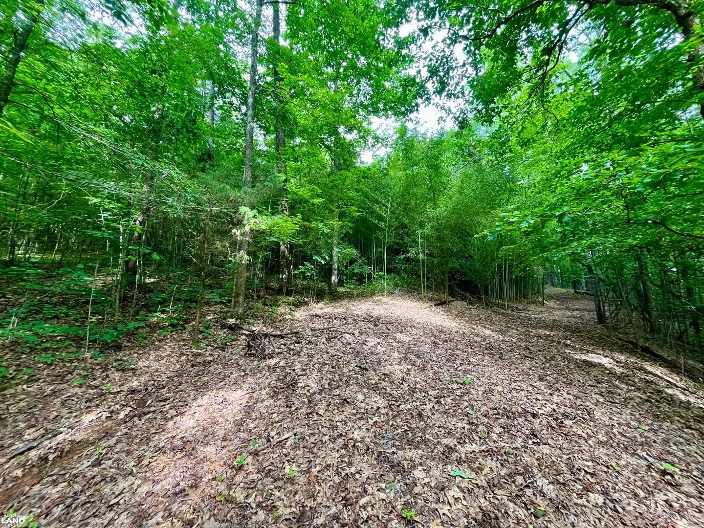 Sunhill Road Homesite - Birmingham, Alabama, 35215