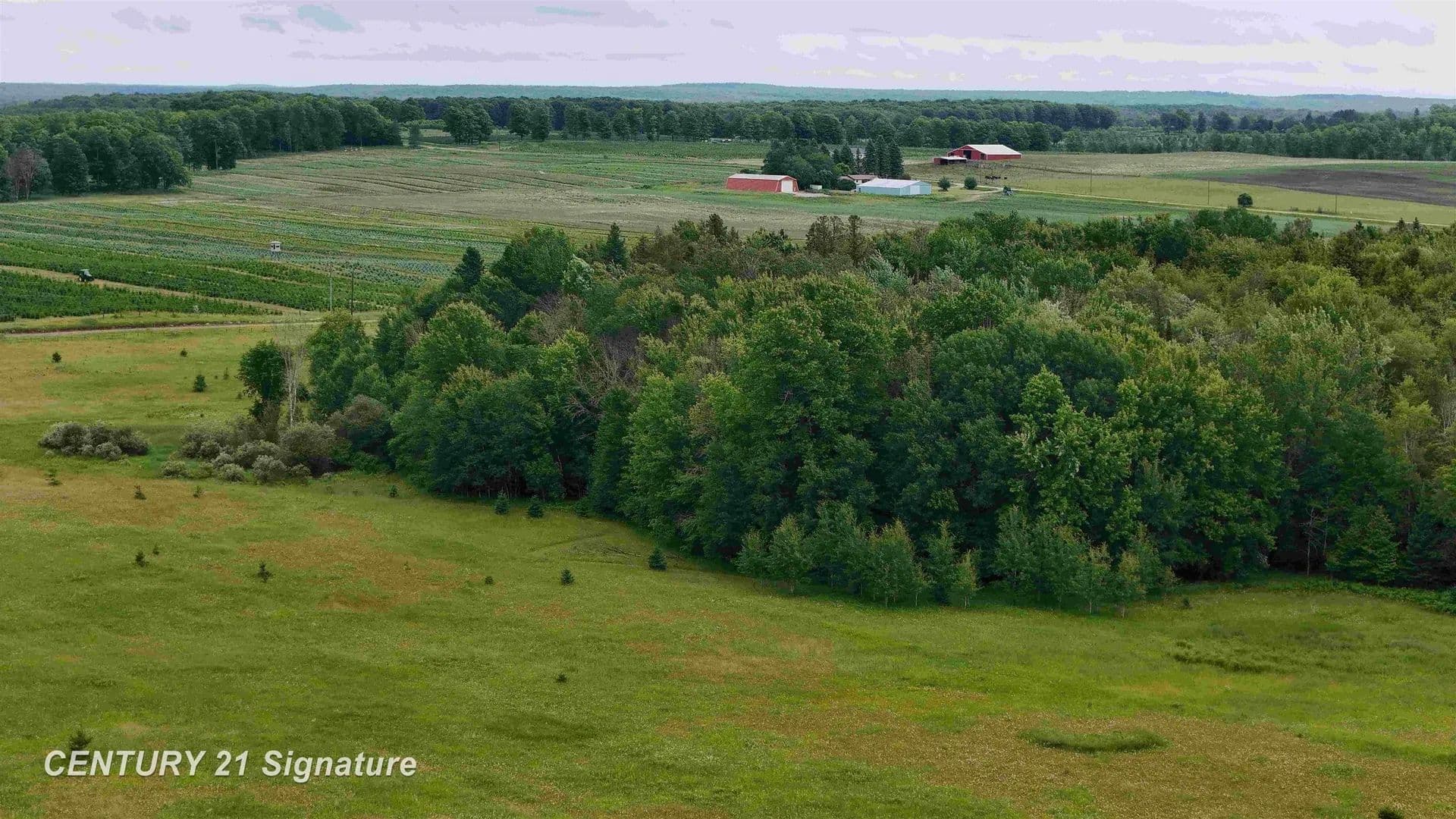 Vacant Land in Mcmillan - Mcmillan, Michigan, 49853