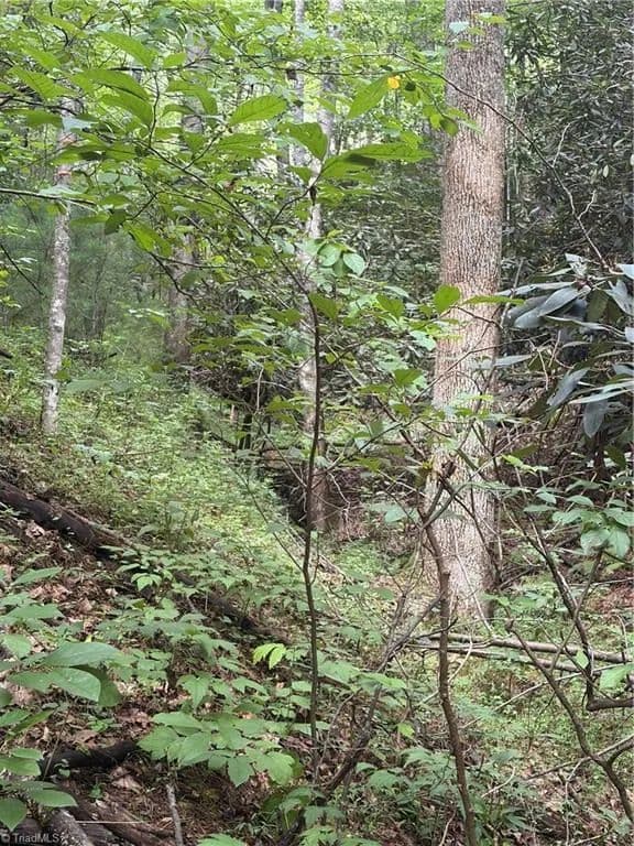 Vacant Land in Millers Creek - land for sale